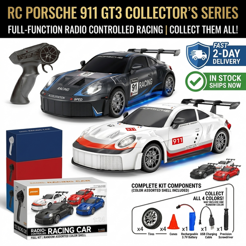 Complete 1:24 RC racing car kit with remote, rechargeable battery, USB cable, spare tires, cones and screwdriver